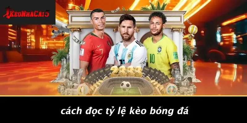 Cách Đọc Tỷ Lệ Kèo Bóng Đá