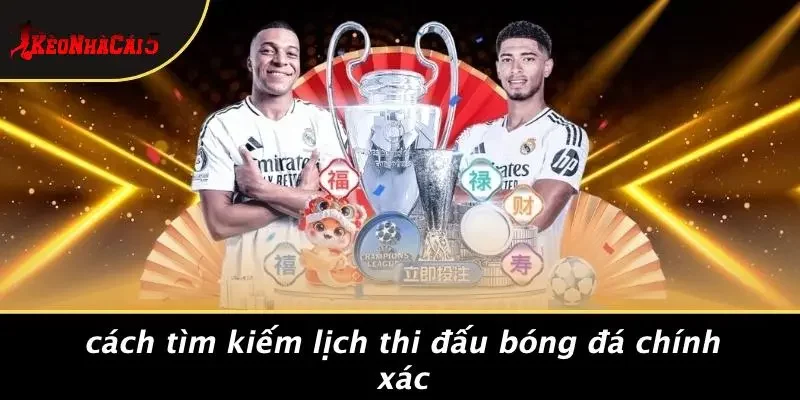 Cách Tìm Kiếm Lịch Thi Đấu Bóng Đá Chính Xác