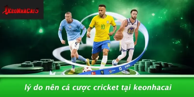 Lý Do Nên Cá Cược Cricket Tại Keonhacai