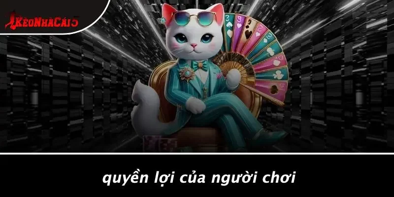 Quyền Lợi Của Người Chơi