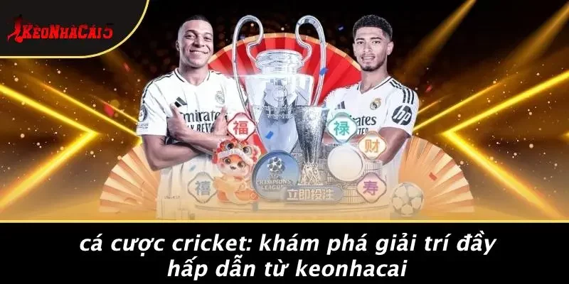 CÁ CƯỢC CRICKET: KHÁM PHÁ GIẢI TRÍ ĐẦY HẤP DẪN TỪ KEONHACAI