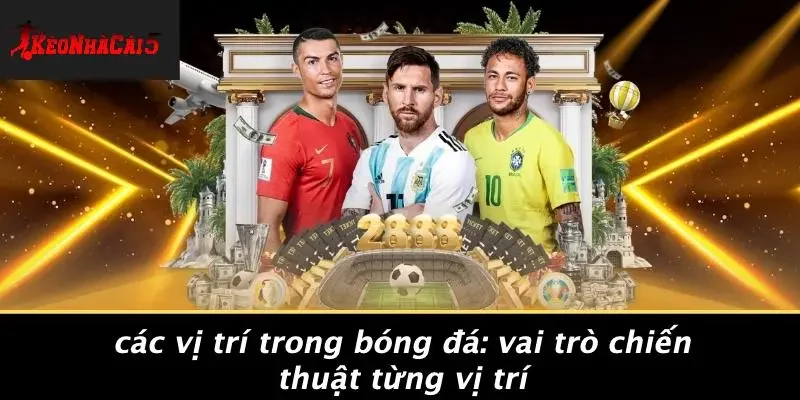 CÁC VỊ TRÍ TRONG BÓNG ĐÁ: VAI TRÒ CHIẾN THUẬT TỪNG VỊ TRÍ